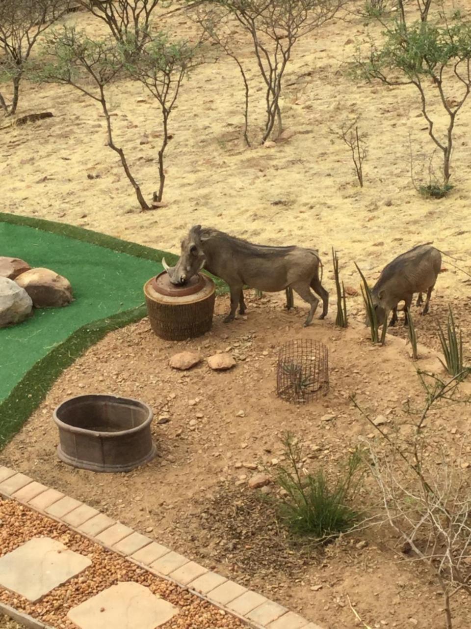 Windhoek Rural Self Catering Voigtland エクステリア 写真